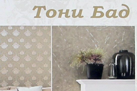 Showroom Toni Bad LTD